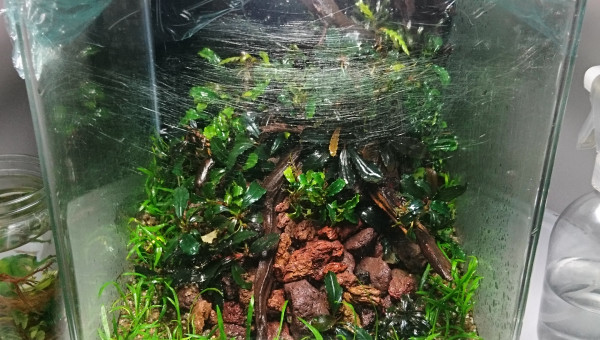 Welcome to the jungle