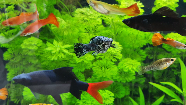 Petite photo de groupe