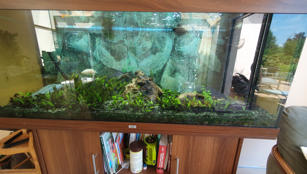 Début des travaux pour la remise en état