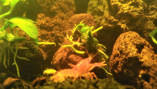 Touche pas à ma bouffe!