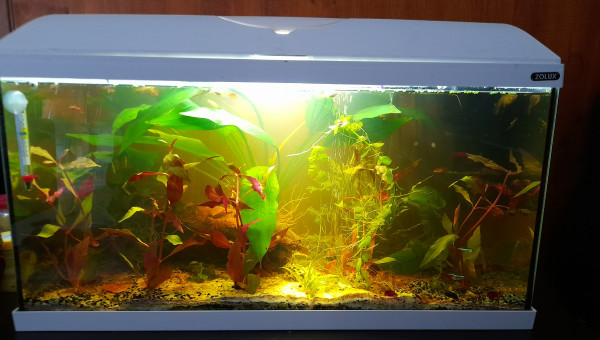 Après.  Photo du lundi 11 octobre 2021