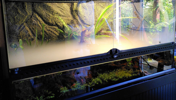 Les 6 CPO sont de sortie