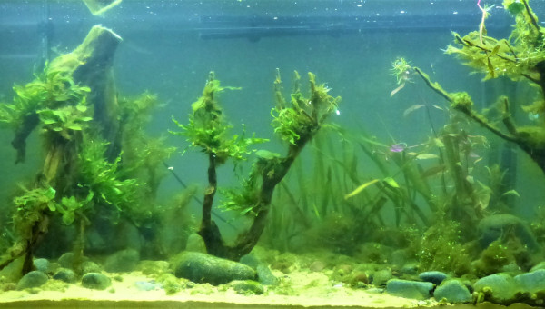 J+20 : La guerre de cent ans