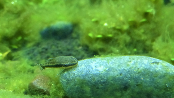 J+20 : La guerre de cent ans