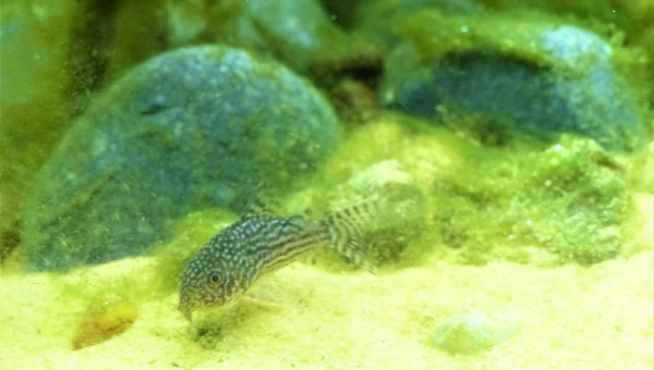 J+20 : La guerre de cent ans