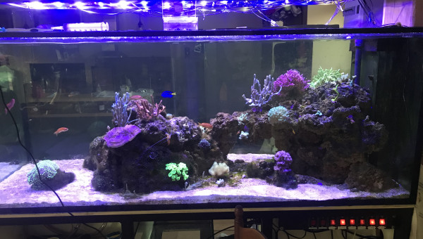 Face salle à manger