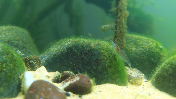 J + 1 mois : Je les collectionne......