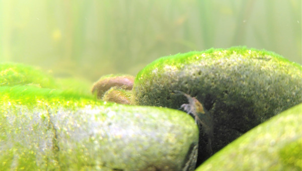 J + 1 mois : Je les collectionne......