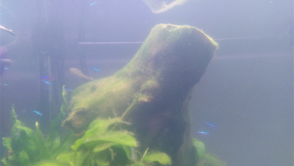 J + 1 mois : Je les collectionne......