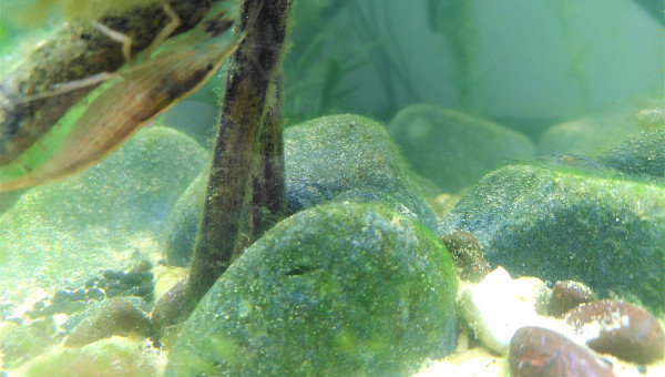 J + 1 mois : Je les collectionne......