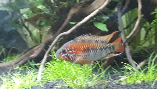 Petit kif avant de partir au boulot