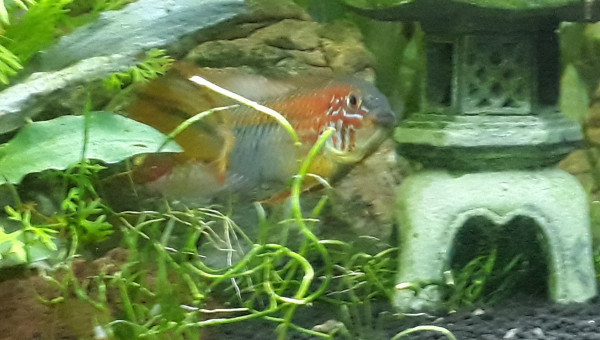 Petit kif avant de partir au boulot