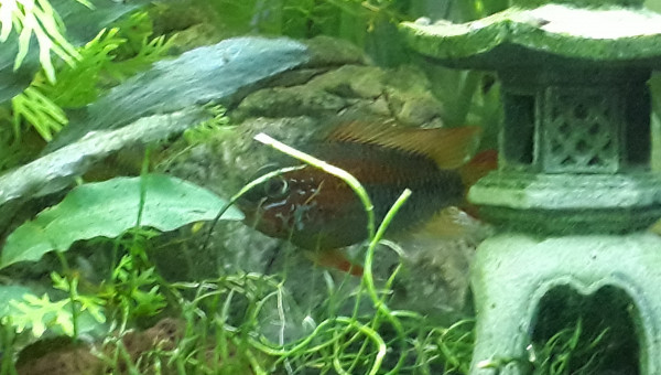 Petit kif avant de partir au boulot