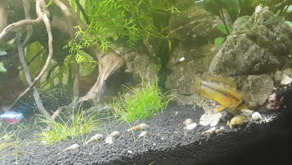 Petit kif avant de partir au boulot