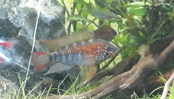 Petit kif avant de partir au boulot