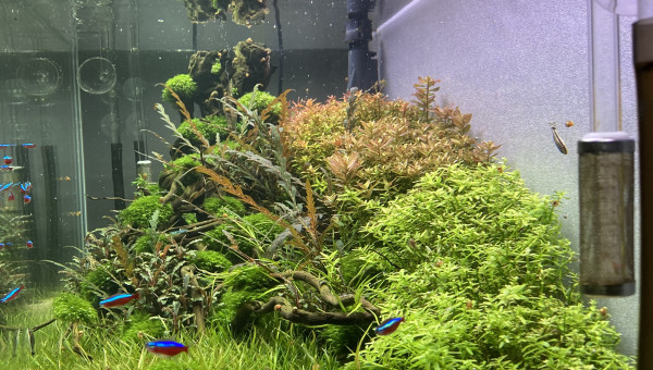 Sous un autre angle ?