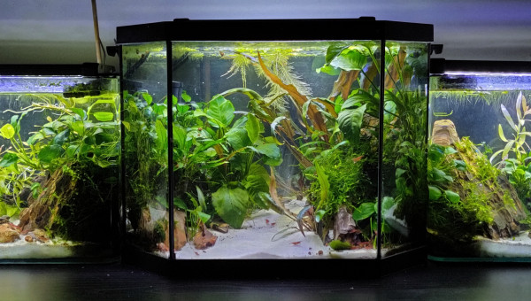 VUE D'ENSEMBLE DU TRIPTYQUE