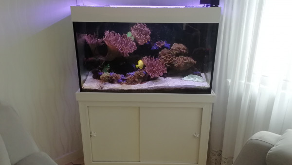 Ancien remplacé par redsea reefer de luxe 200