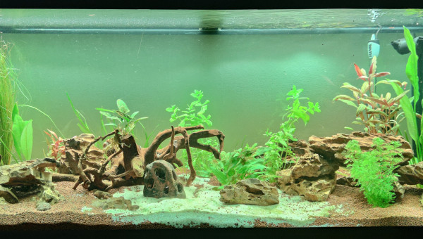 Ajout de plantes supplémentaires