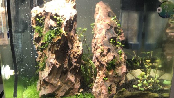 Nano aqua avec un nouveau hardscape