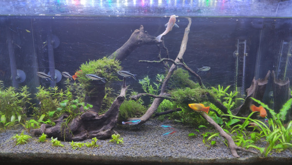 2 mois et demi après l'installation