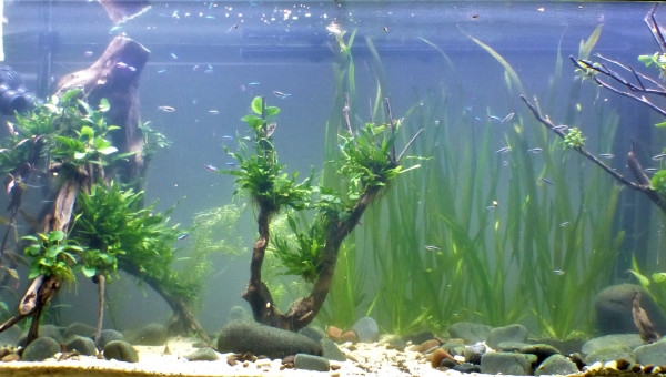 J + 2 mois : Le brouillard s'est levé!