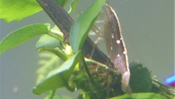 J + 2 mois : Le brouillard s'est levé!