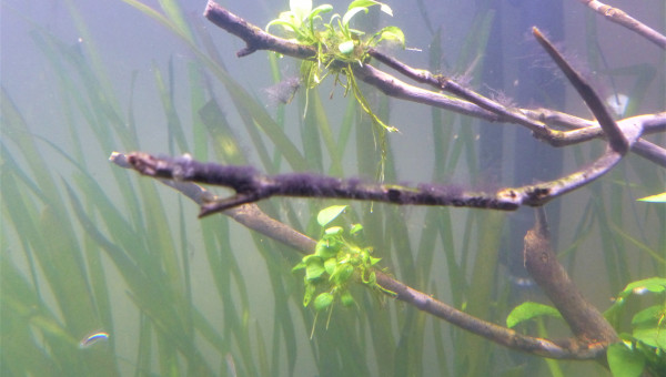 J + 2 mois : Le brouillard s'est levé!