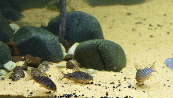 J + 2 mois : Le brouillard s'est levé!