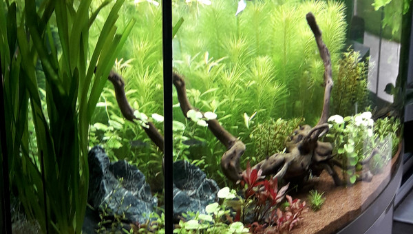 Après la maintenance du samedi