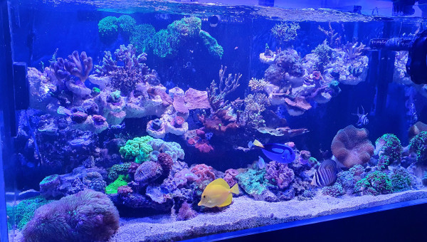 Gros changement de décor