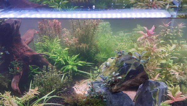 modification d'installation