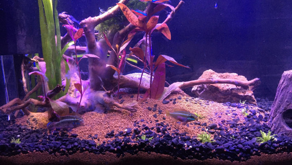 Photo en éclairage nocturne