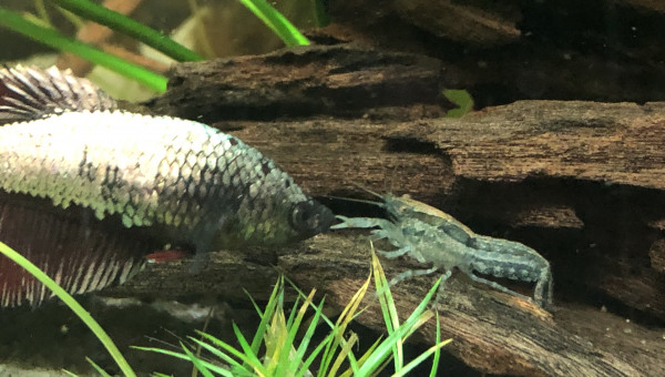 On fait connaissance