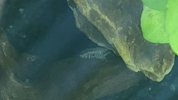 C est l’heure du déjeuner