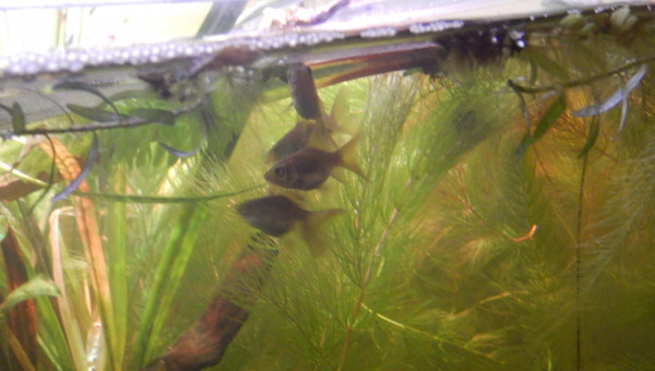 Repro septembre 2021