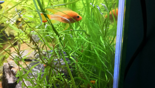 Nouvel arrivant... Et surprise du matin !