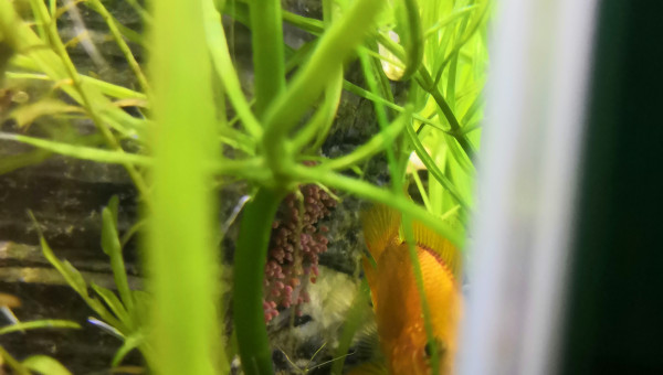 Nouvel arrivant... Et surprise du matin !