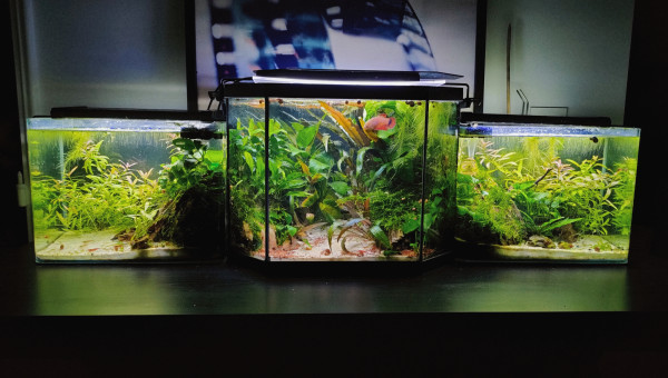 VUE D'ENSEMBLE DU TRIPTYQUE