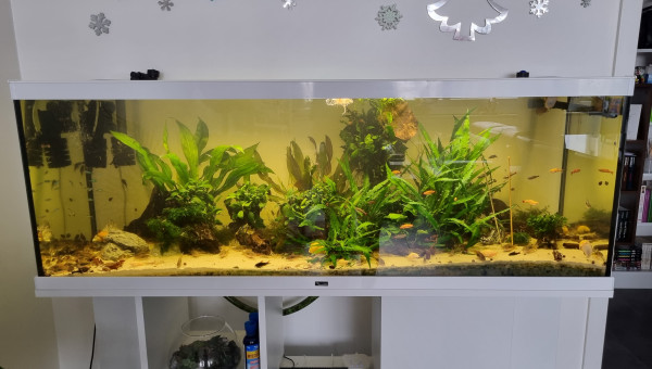 River Song à bien évolué !