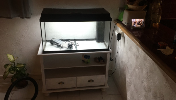 Installation de l’aquarium