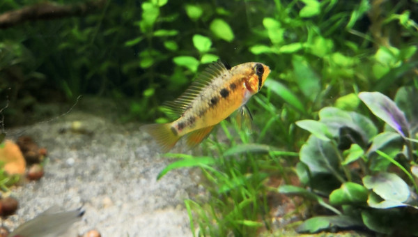 Mademoiselle prend des couleurs.