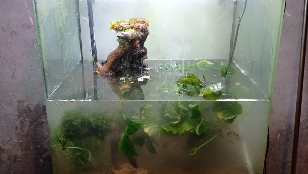 On commence à remplir