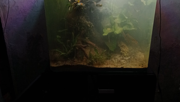 Rempli et filtre lancé