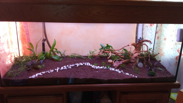 Plus qu'à mettre l'eau