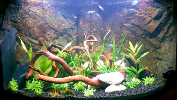 Petite réorganisation.