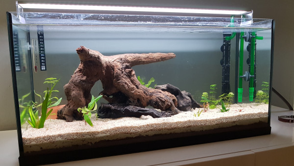 Biotope communautaire