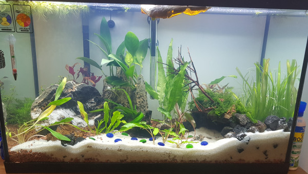 Fluval 29 gallons ou 116 litres Brut