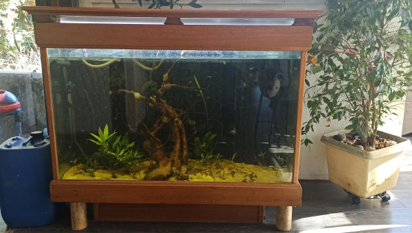 Aquarium 300l