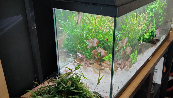 Grosse Session de jardinage